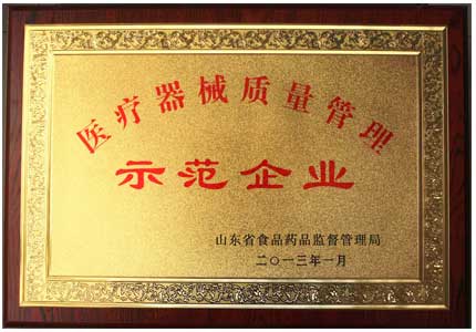山东91免费片版下载医疗器械质量管理示范企业荣誉证书
