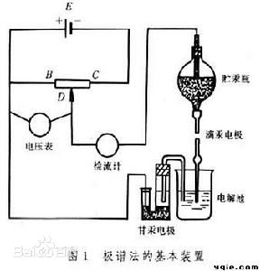 91免费看视频软件网站