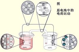 91免费看视频下载厂家