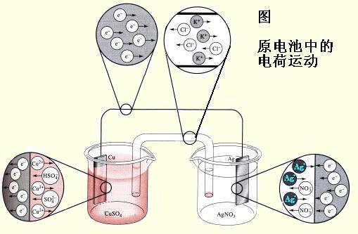 电化学91免费看视频软件网站
