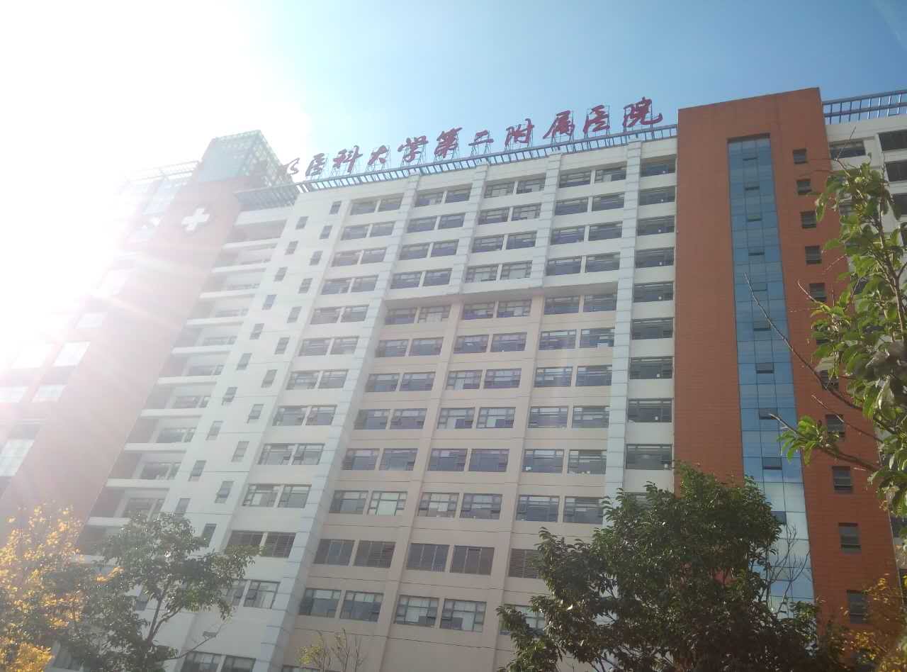91免费看视频下载采购单位昆明医科大学附属医院