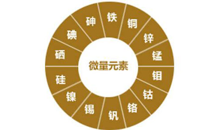 医用91免费看视频下载对视力的重要性