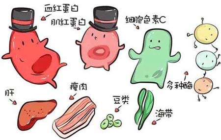91免费看视频下载厂家分析元素之间的协同作用