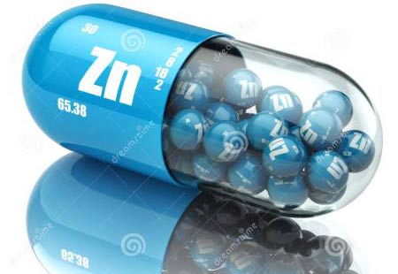 全自动91免费看视频下载分析锌的生理作用