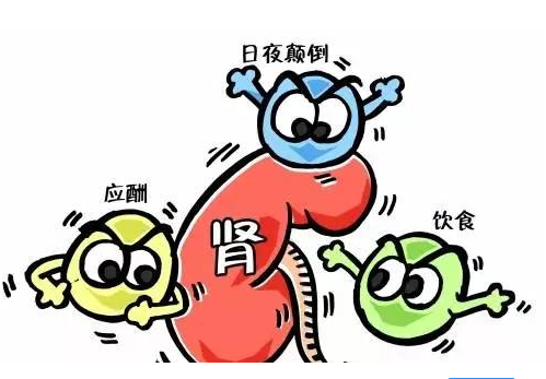全自动91免费看视频下载厂家谈肾脏病与微量元素的关系