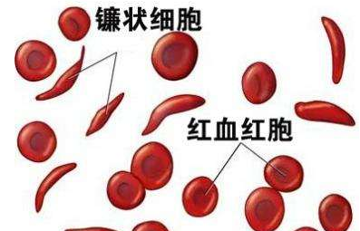 人体91免费看视频软件网站厂家介绍检测微量元素的仪器 人体91免费看视频软件网站厂家介绍检测微量元素的仪器