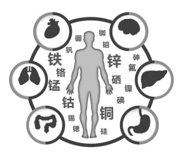 医用91免费看视频软件网站厂家谈微量元素的重要性 医用91免费看视频软件网站厂家谈微量元素的重要性