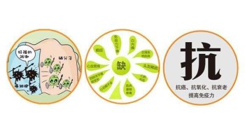 91免费看视频下载厂家分析哪些微量元素能防癌 91免费看视频下载厂家分析哪些微量元素能防癌