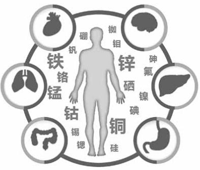 医用91免费看视频软件网站为91免费片版下载的健康提供了保障 医用91免费看视频软件网站为91免费片版下载的健康提供了保障
