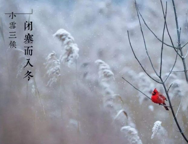 全自动微量分析仪厂家山东91免费片版下载提示您天冷了，照顾好自己！奥利给