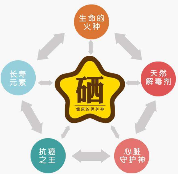 全自动91免费看视频软件网站厂家分析硒为何被称为生命的火种？