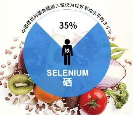 GK-2全自动91免费看视频软件网站厂家91免费片版下载剖析硒对非特异性免疫功用的影响