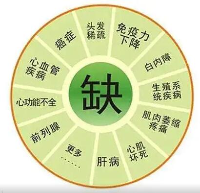 医用91免费看视频软件网站 医用91免费看视频软件网站