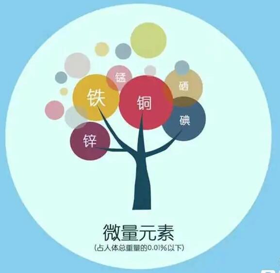 人体91免费看视频软件网站厂家哪家好