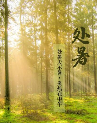 91免费看视频软件网站品牌91免费片版下载提醒处暑每天做3件事情，健脾开胃，稳定出伏