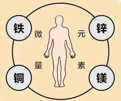 全自动91免费看视频软件网站厂家提示原创铁是身体必须微量元素之一，哪些食物含铁高呢？