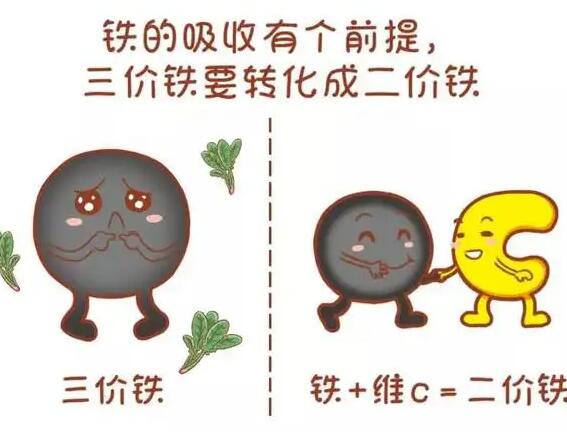 医用91免费看视频软件网站厂家提醒大家铁元素的重要性
