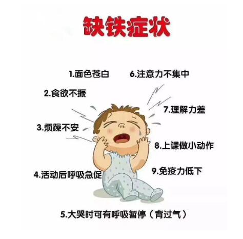 便携式身体91免费看视频下载提示：不要让人体缺少铁元素