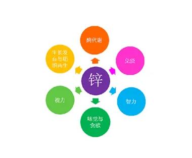 微量元素测定仪厂家提示关爱男士健康，适度补充锌元素也不能少！