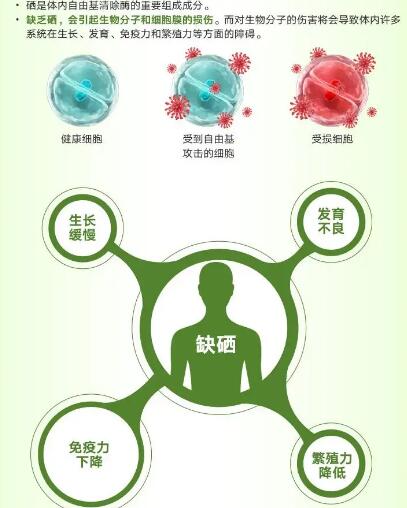 医用91免费看视频下载厂家提醒关爱男性健康，硒元素也不能少！