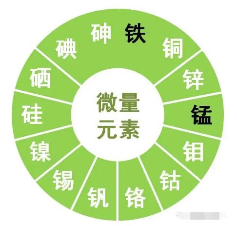 91免费看视频软件网站提示锌、硒、锰、钒等微量元素对男性生育有哪些作用？