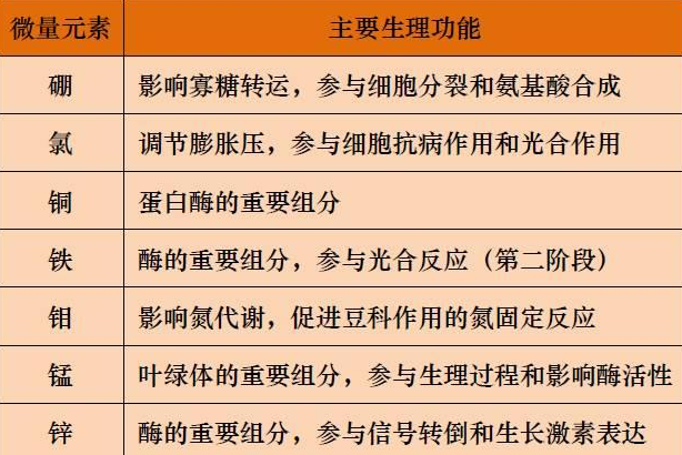 山东聊城全自动血铅检测仪一体机：微量元素的主要作用8.20