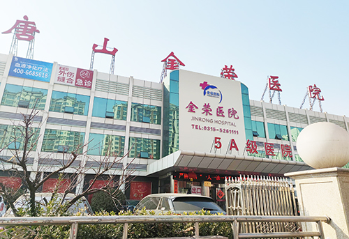全自动91免费看视频软件网站厂家